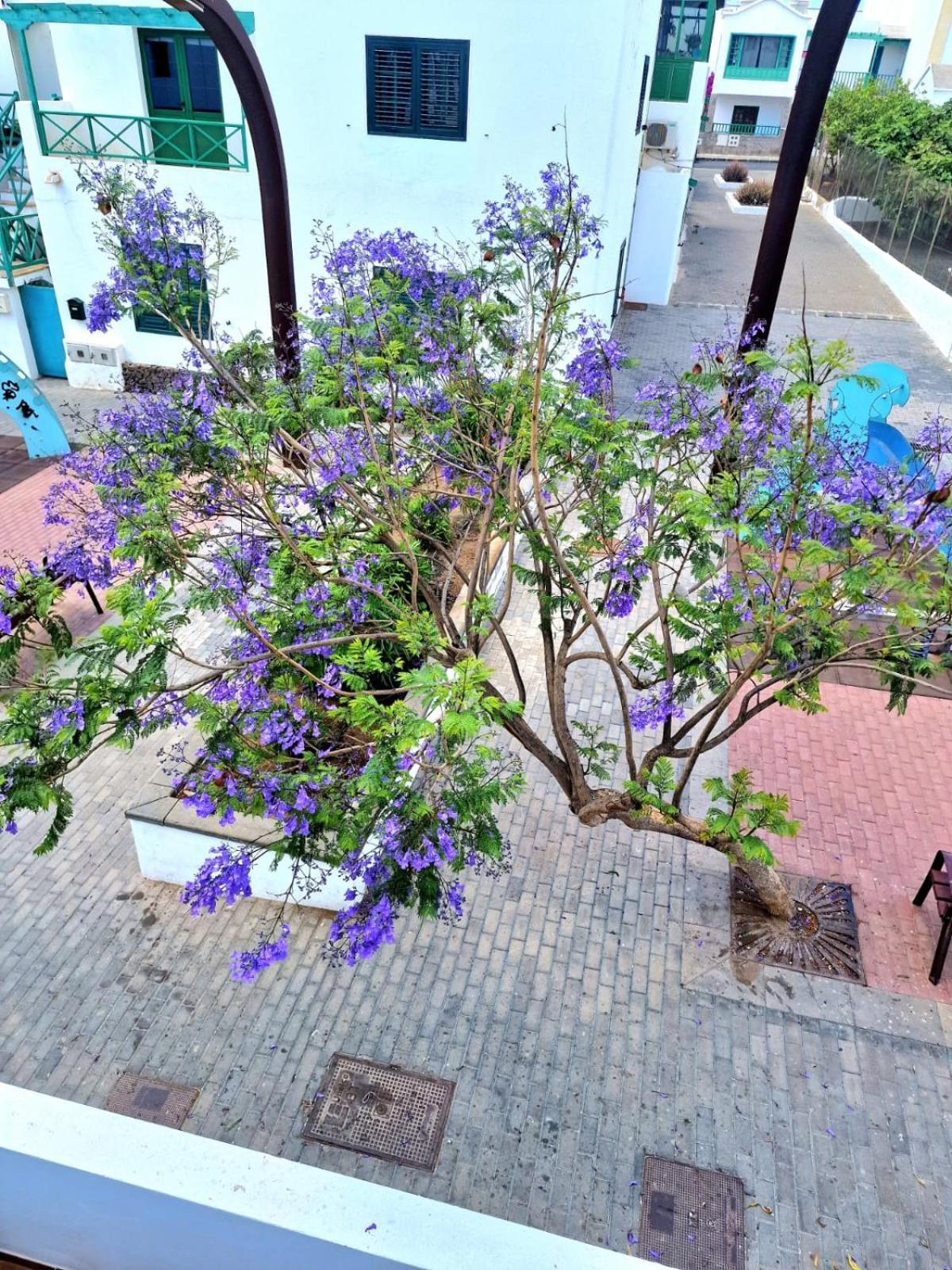Apartamento Margarita Playa Blanca  Zewnętrze zdjęcie
